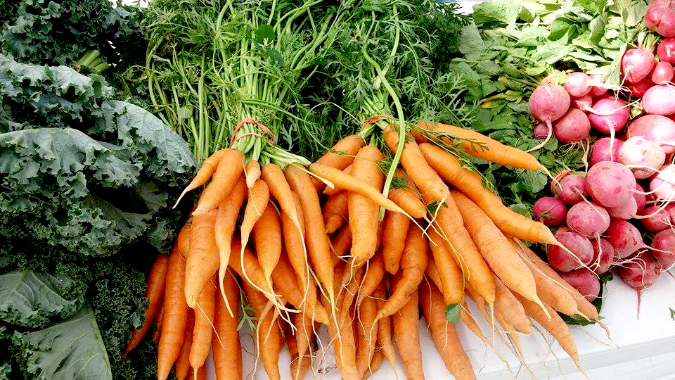 FM Carrots
